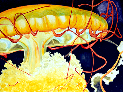 Jellyfish by Jennifer Redstreake Geary